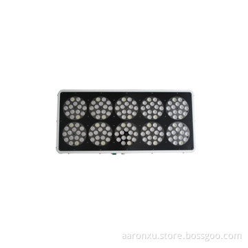 full spectrum Apollo 10 led grow light